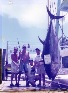 bluefin-tuna-scan